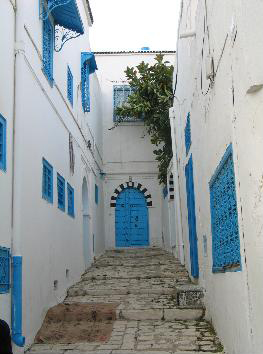 <시디 부 사이드>